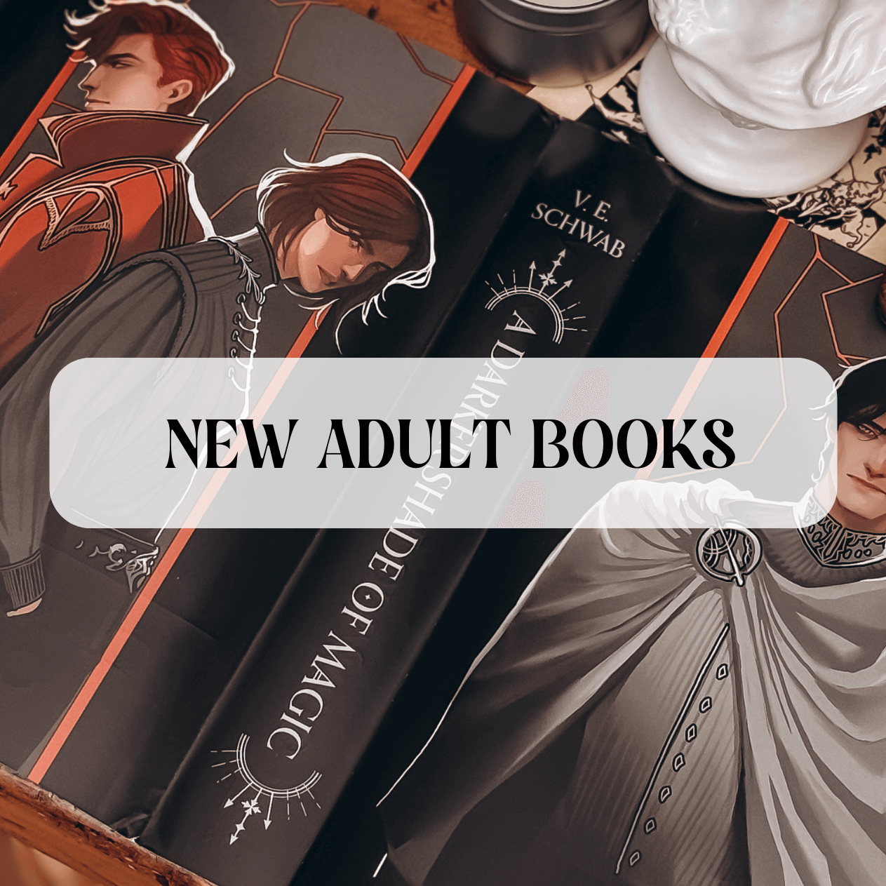 Graphic with text that reads "New Adult Books"