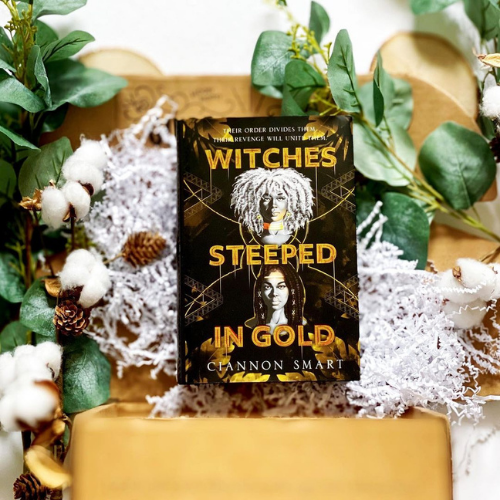 A copy of Witches Steeped in Gold laying on top of an OwlCrate box and shredded white paper, surrounded by green plants and cotton