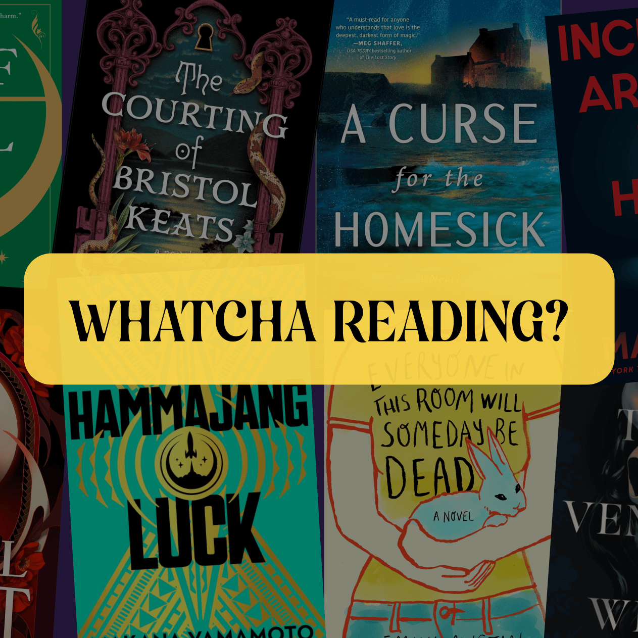 Team OwlCrate Reads for February 2025