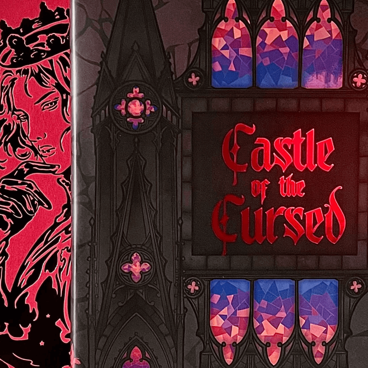 Castle of the Cursed by Romina Garber