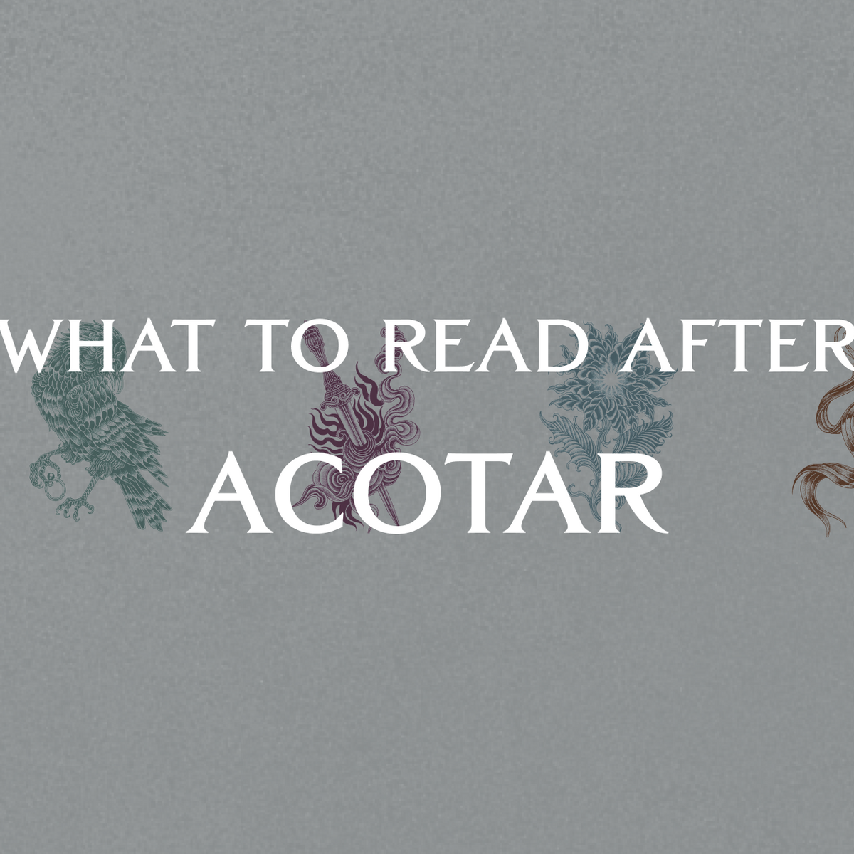 What To Read After ACOTAR 8 Book Recommendations OwlCrate what-to-read-after-acotar-8-book-recommendations-owlcrate