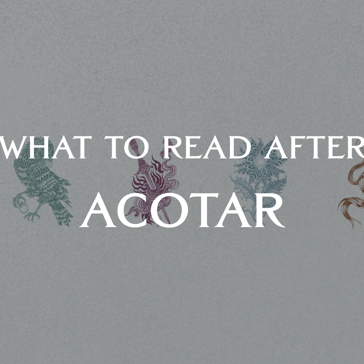 ACOTAR graphics on a grey background written in white What To Read After ACOTAR