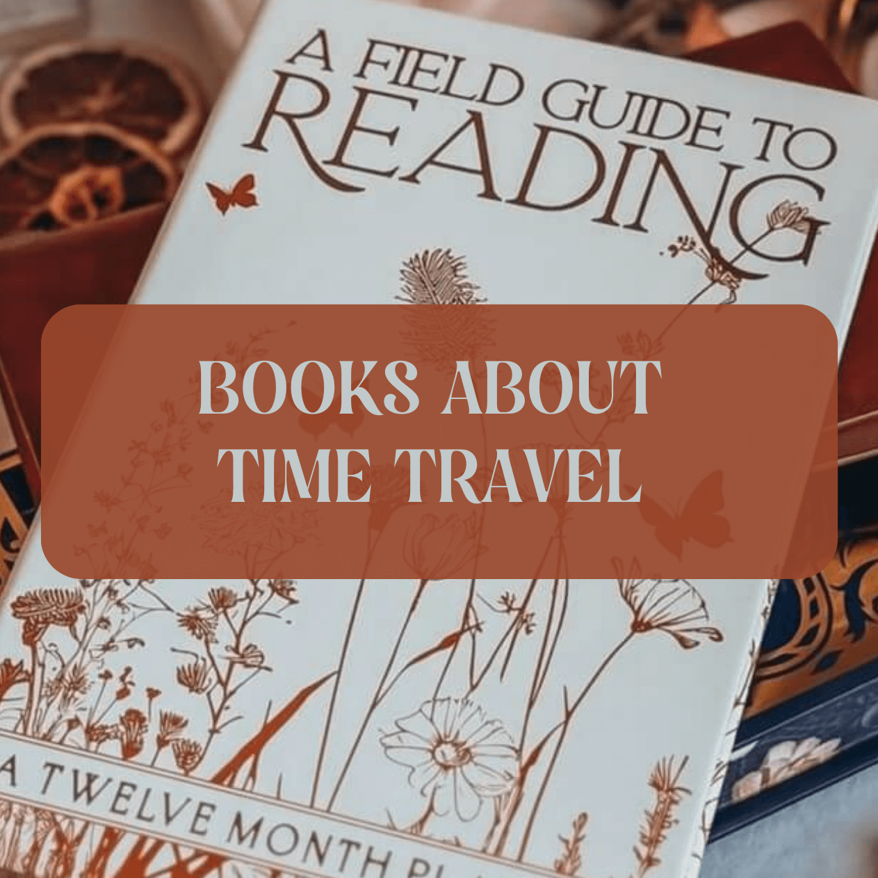 Graphic with photo of journal and text that says "Books about time travel"