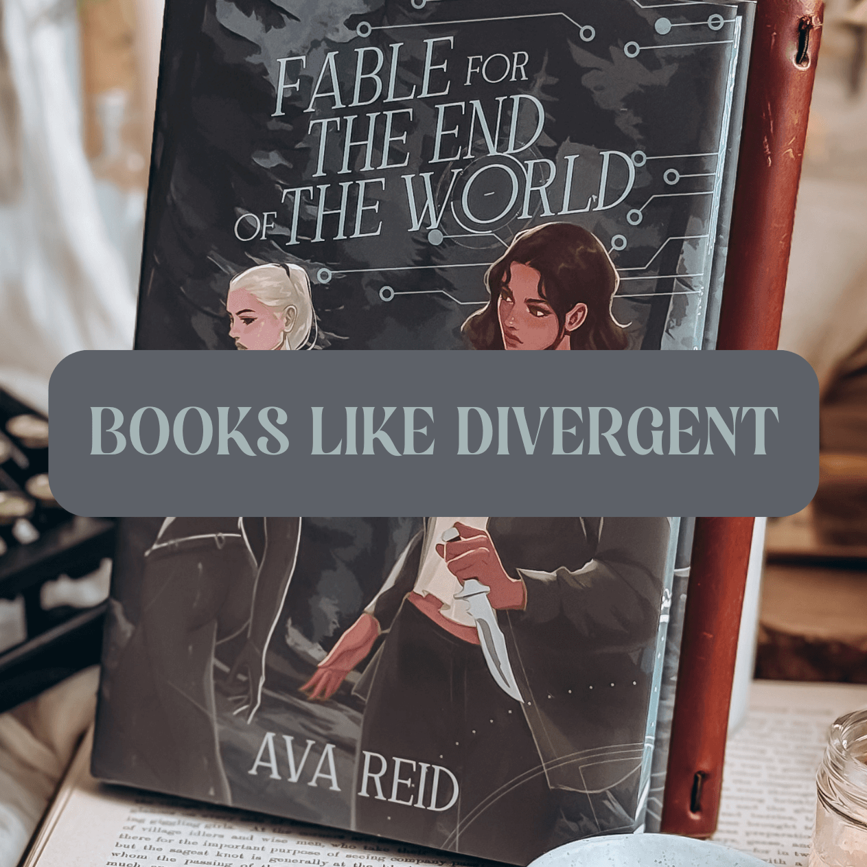 Graphic with photo of book and text which reads "Books Like Divergent"
