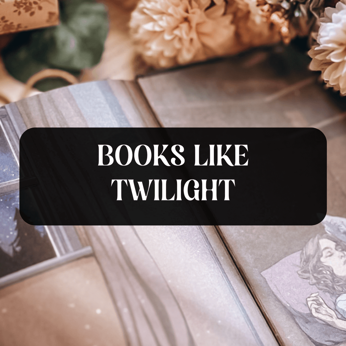 Graphic with photo of an open book and text that says "Books Like Twilight"
