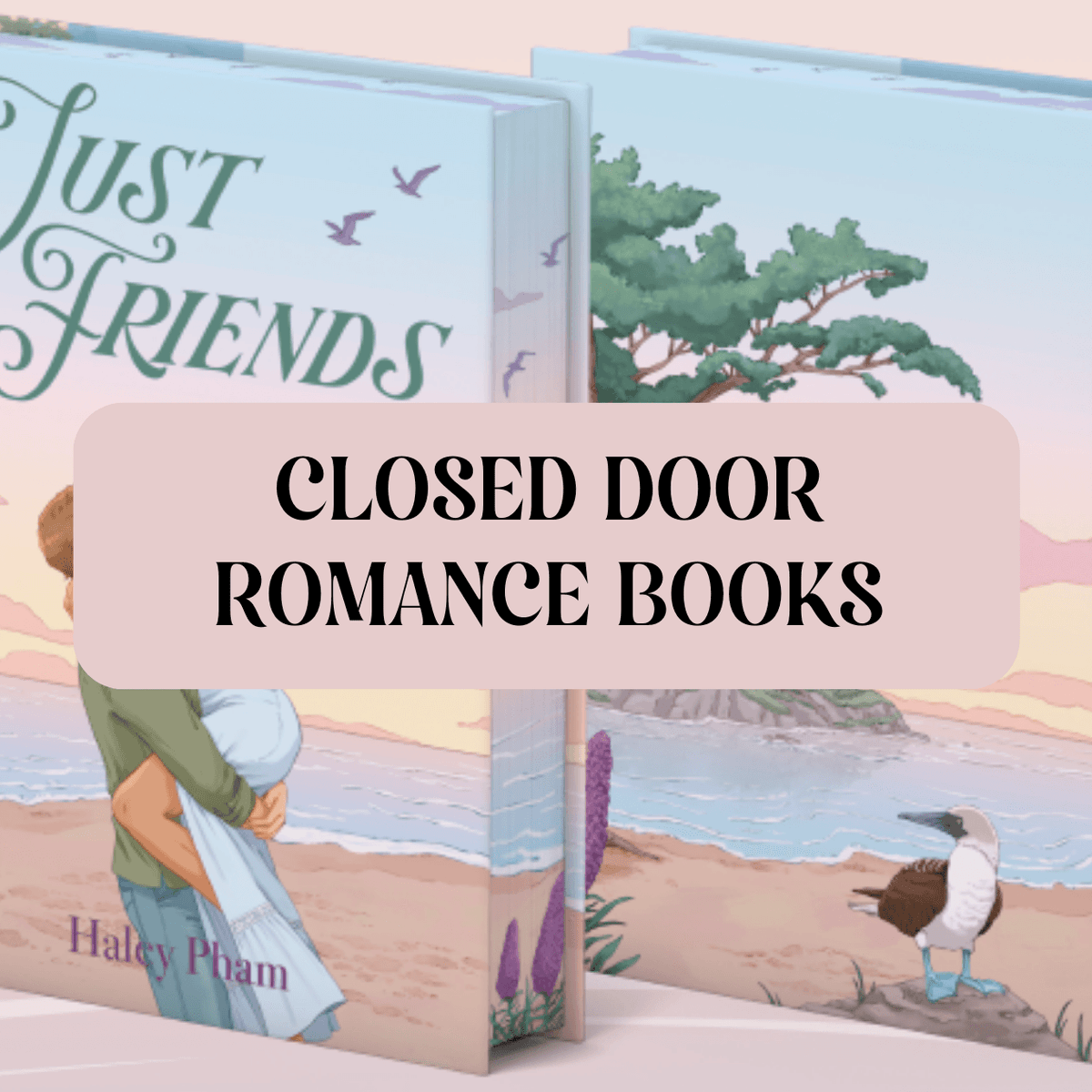 Graphic with photo of book and text which reads "Closed Door Romance Books"