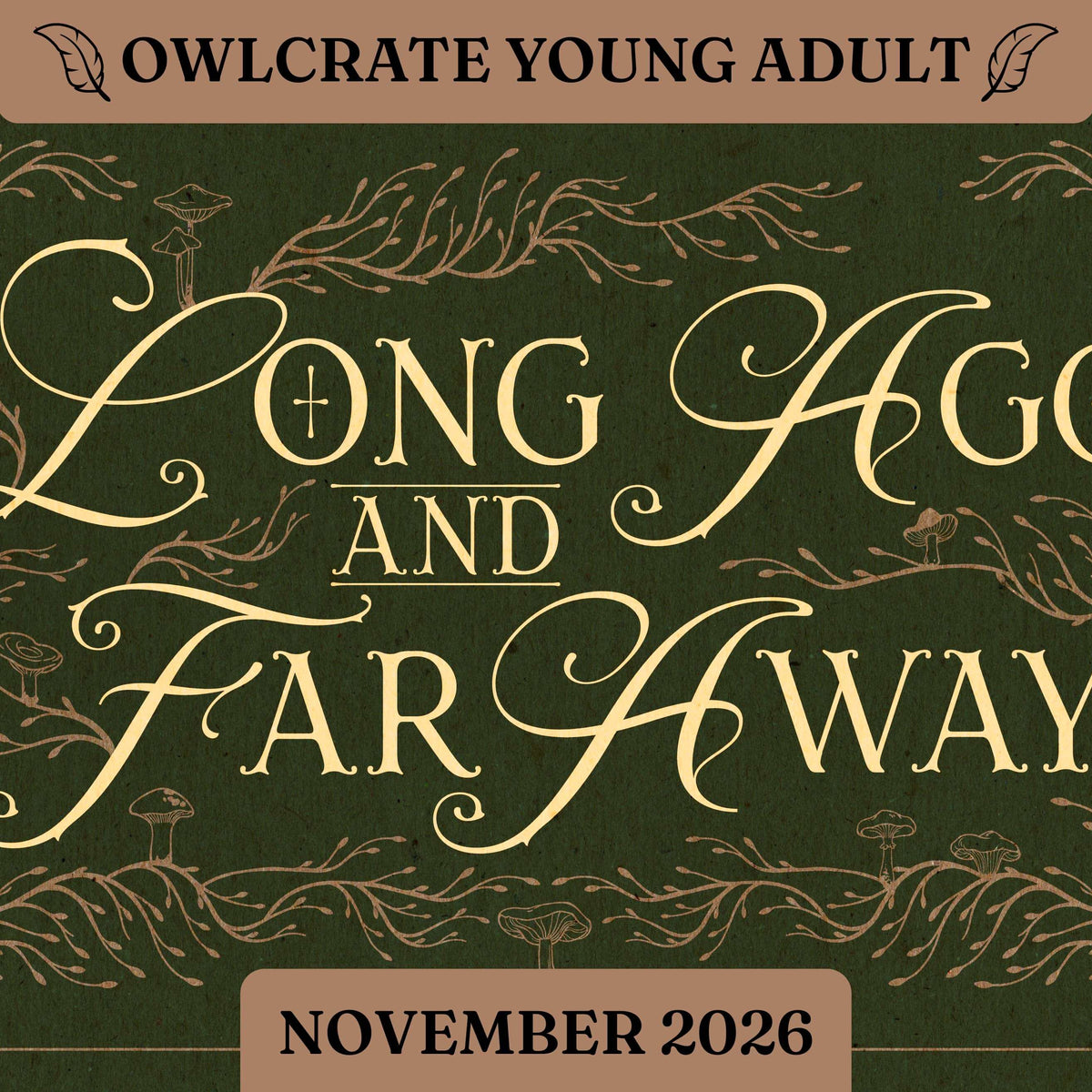 LONG AGO AND FAR AWAY OwlCrate YA theme