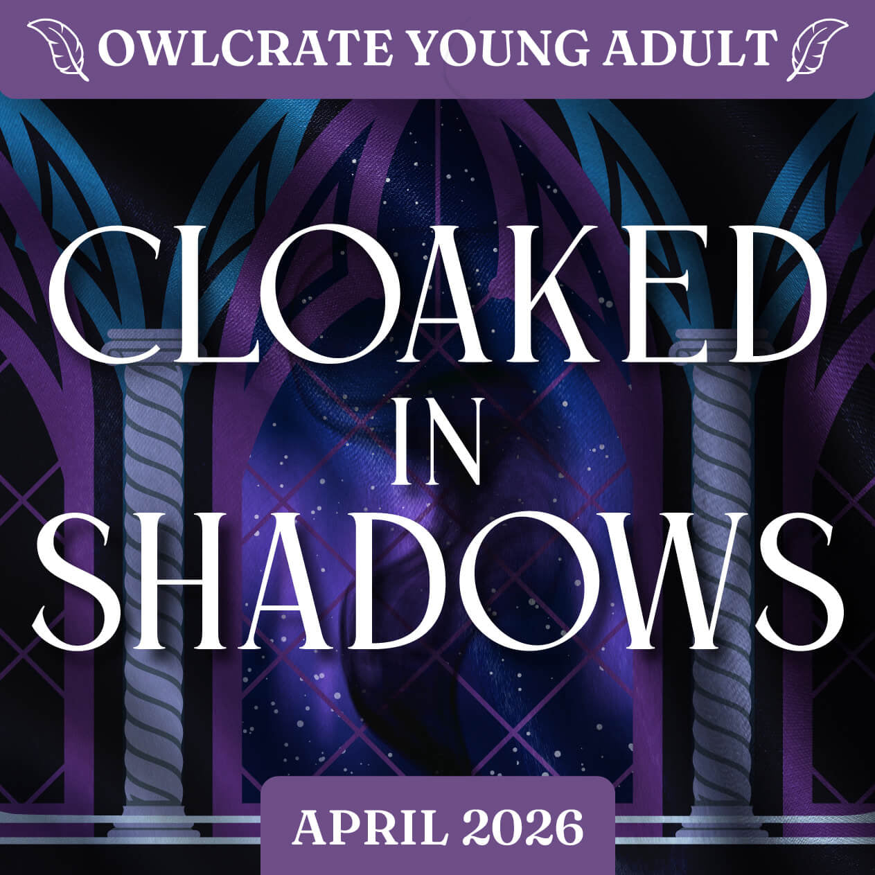 CLOAKED IN SHADOWS OwlCrate YA theme