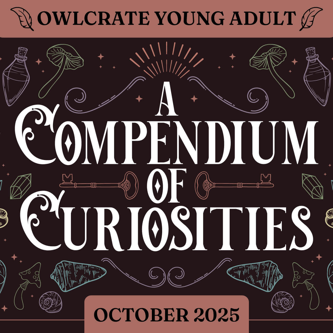 A COMPENDIUM OF CURIOSITIES OwlCrate YA theme