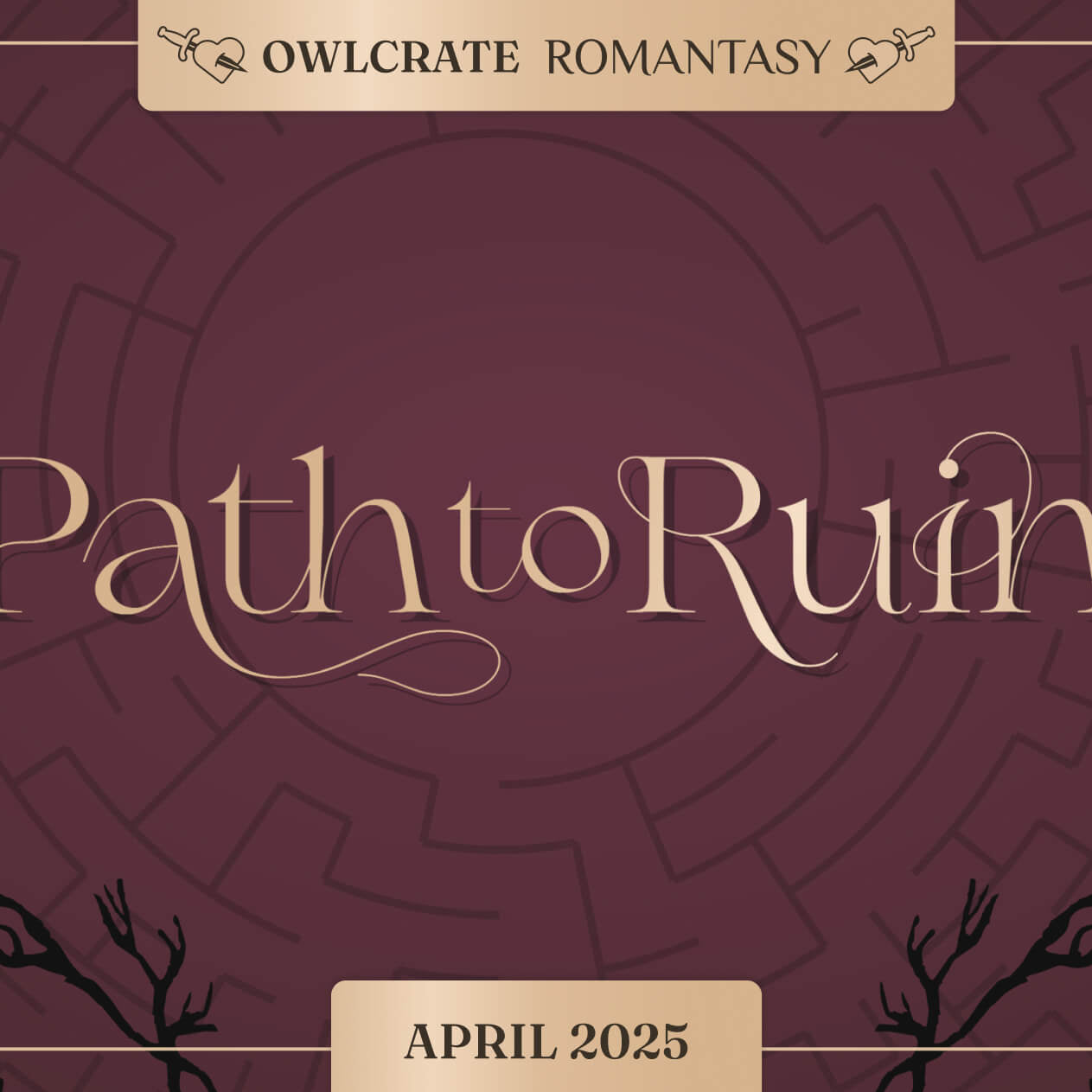PATH TO RUIN Romantasy Theme OwlCrate