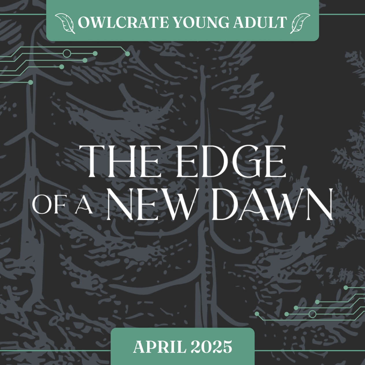 THE EDGE OF A NEW DAWN OwlCrate YA theme