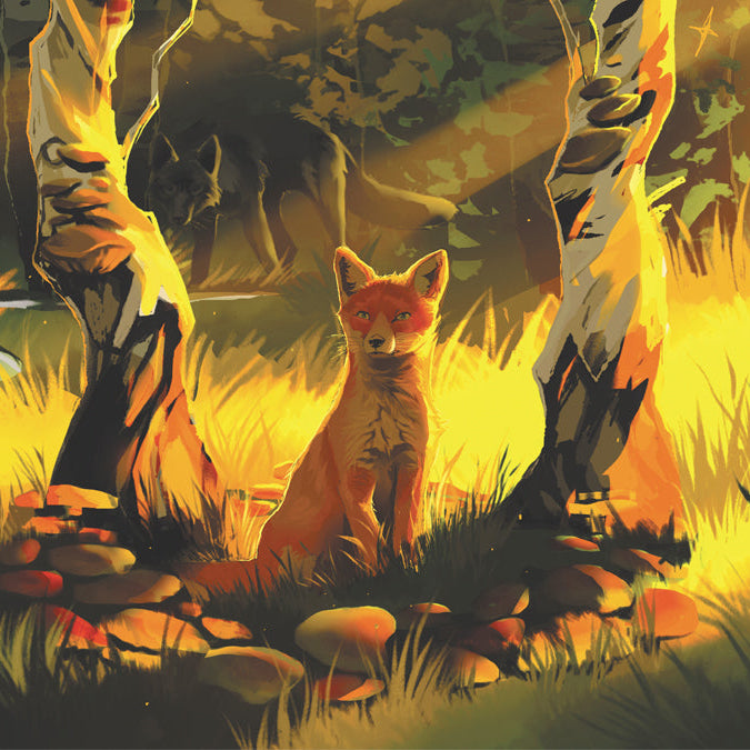 OwlCrate limited edition book of The Summer Queen by Rochelle Hassan. A fox sitting in a toadstool circle in an autumn lit forest.