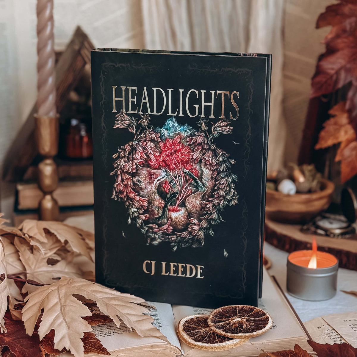 The front cover for the book Headlights by CJ Leede stands upright on a table decorated with leaves, open books, dried orange slices, and a lit candle. The book cover shows an illustration of a fox with red glowing flowers emerging from its belly, with the title and author name in gold font on a black background.