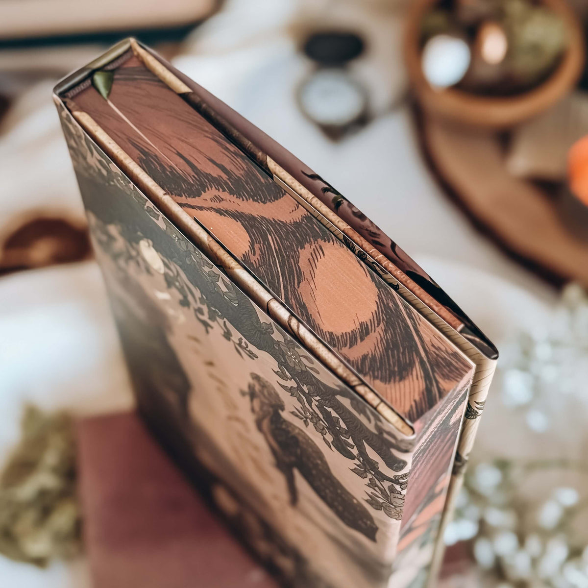 A close-up of the detailed stencilled edges of a hardcover book surrounded by various vintage-inspired decor in the background. The stencilled edges resemble a vintage close-up illustration of a butterfliy's wing in shades of orange.