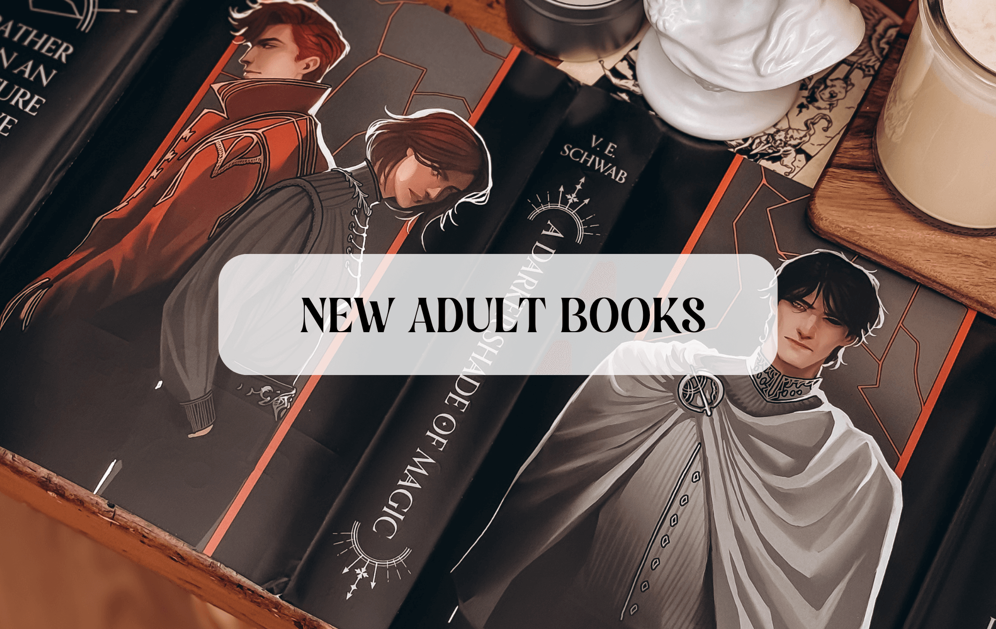 Graphic with text that reads "New Adult Books"