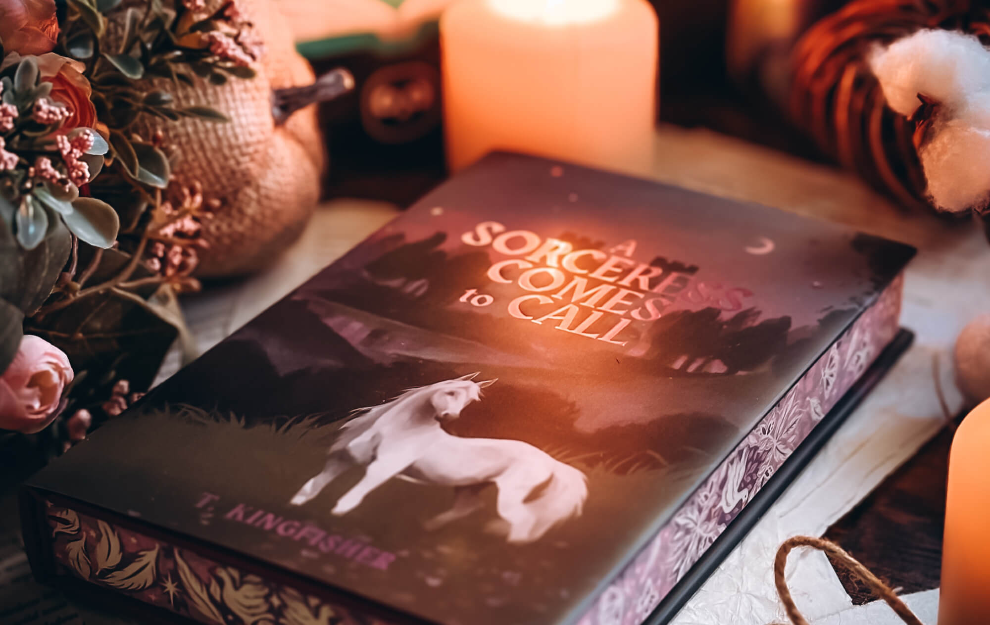 A Sorceress Comes to Call by T. Kingfisher