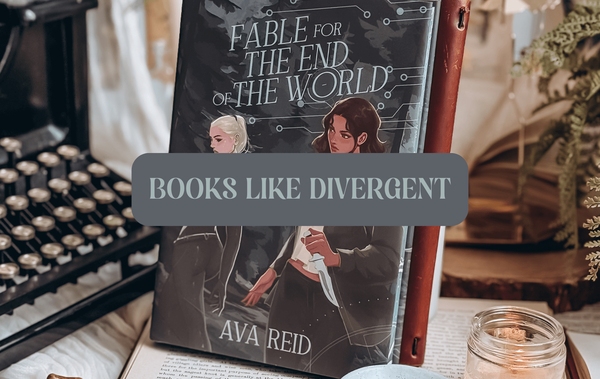 Graphic with photo of book and text which reads "Books Like Divergent"