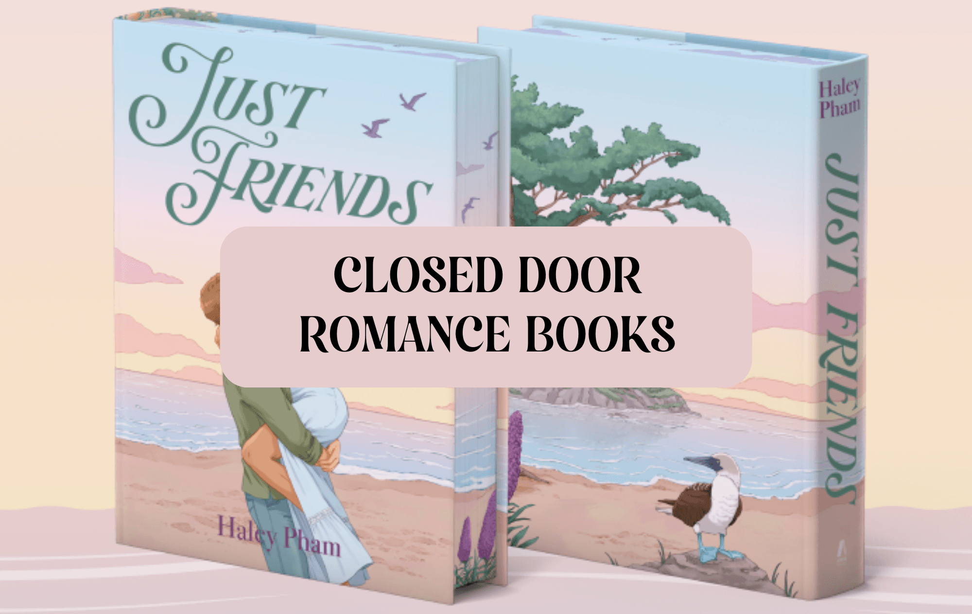 Graphic with photo of book and text which reads "Closed Door Romance Books"