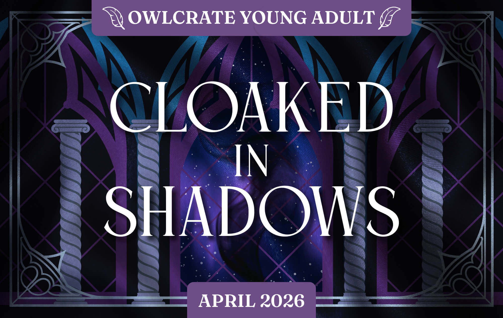 CLOAKED IN SHADOWS OwlCrate YA theme
