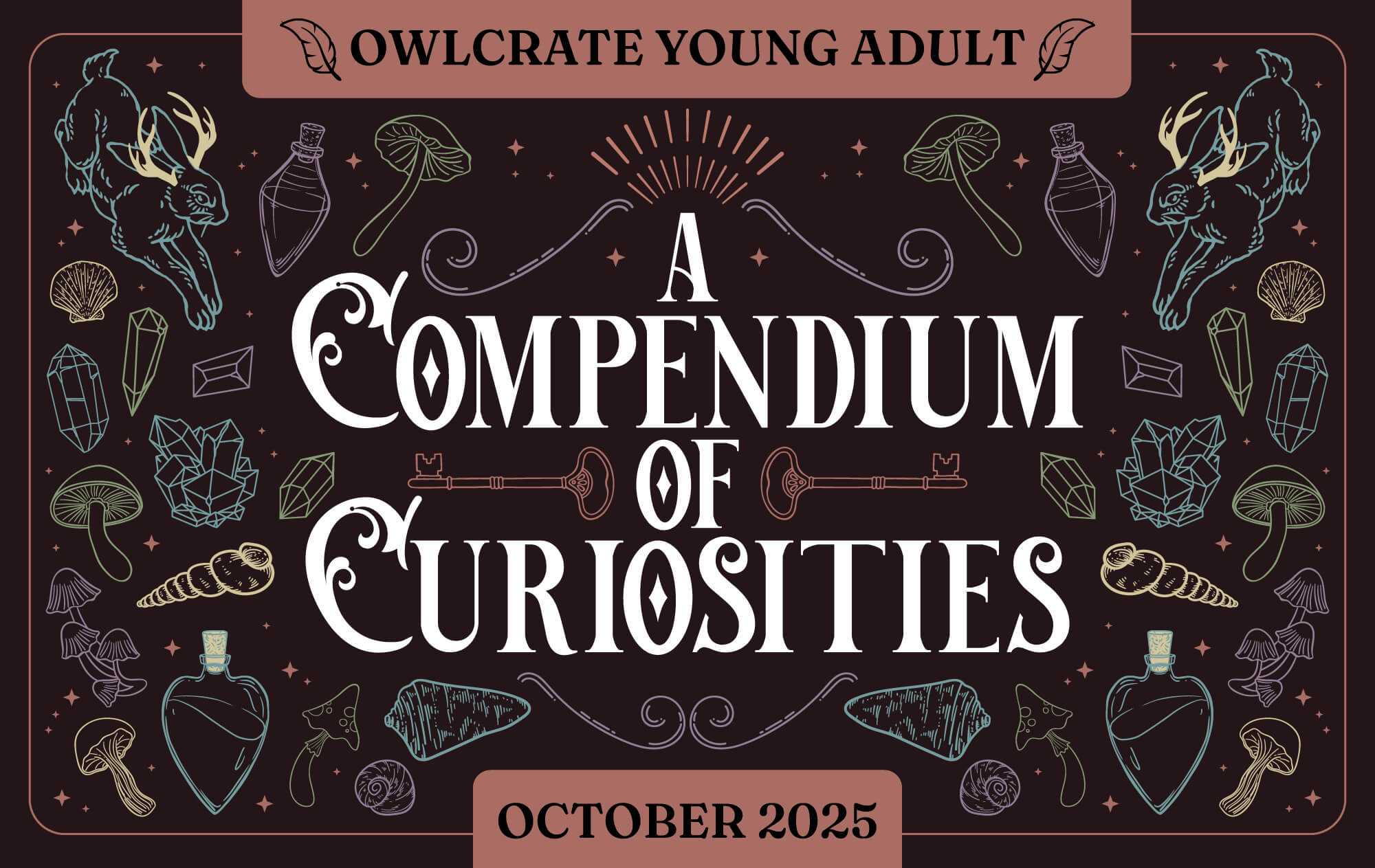 A COMPENDIUM OF CURIOSITIES OwlCrate YA theme