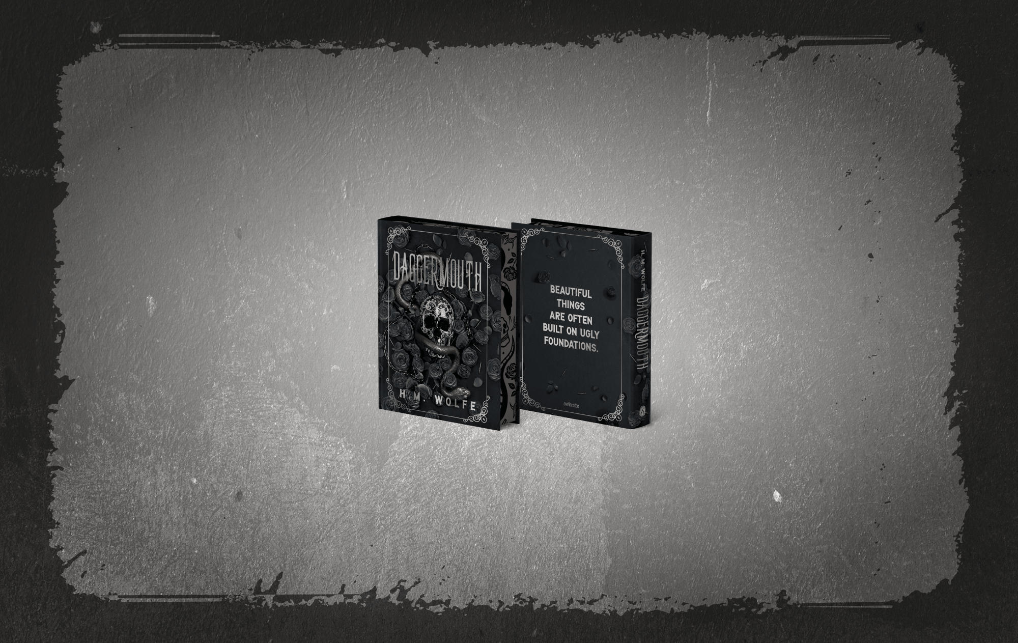 OwlCrate limited edition of Daggermouth by H. M. Wolfe. Front and back covers centered on gray, concrete-like background with a black grout-like border.
