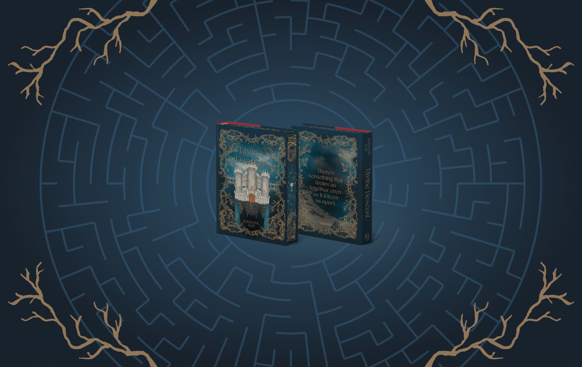 OwlCrate limited edition of Divine Descent in collaboration with AdriAnne May. Front and back covers centered on dark blue background with illustrated roots and a maze. Covers show an illustrated castle surrounded by roots.