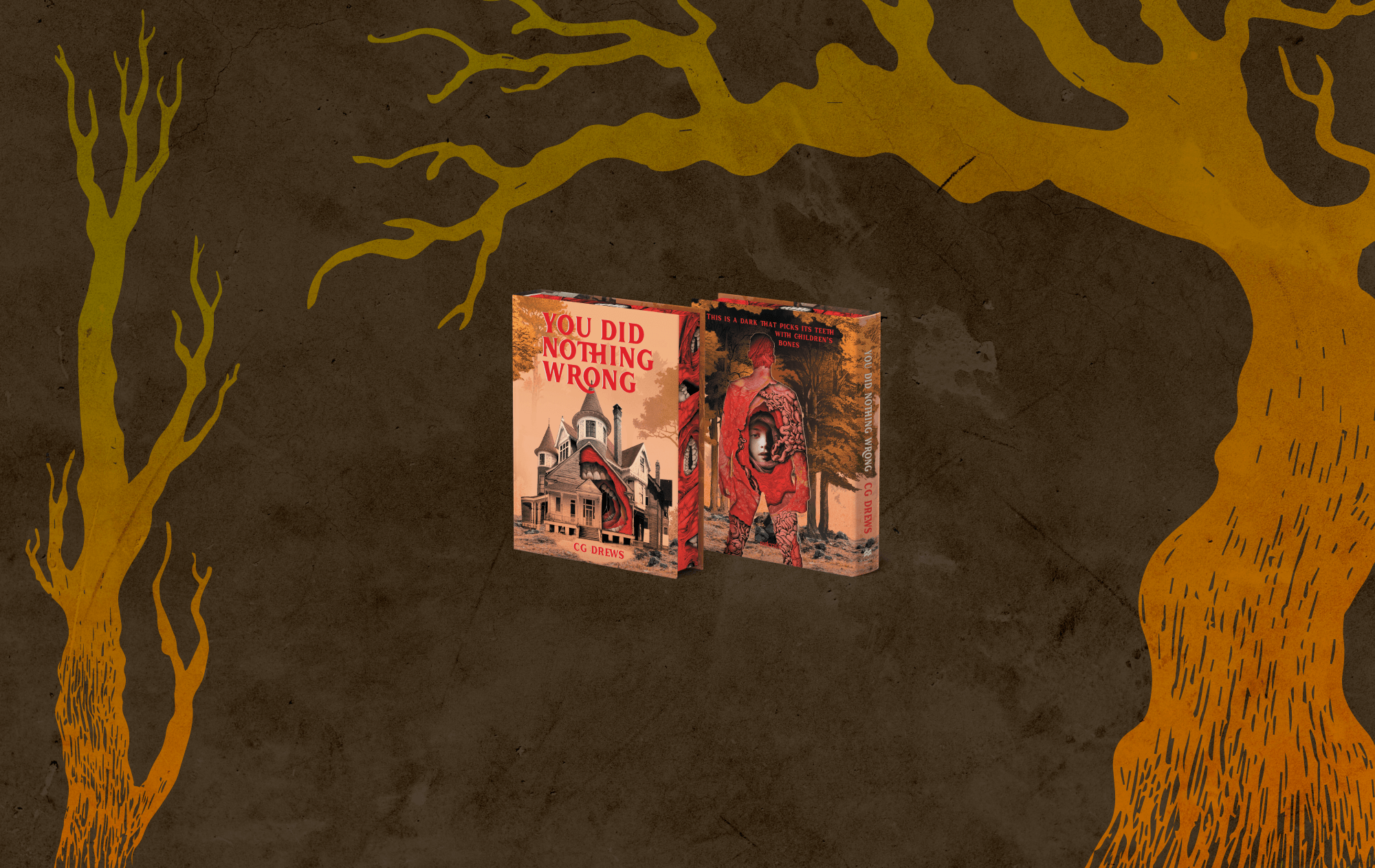 OwlCrate limited edition of You Did Nothing Wrong. Front and back covers centered on an illustrated forest background. Covers show an illustration of a house with horror imagery.