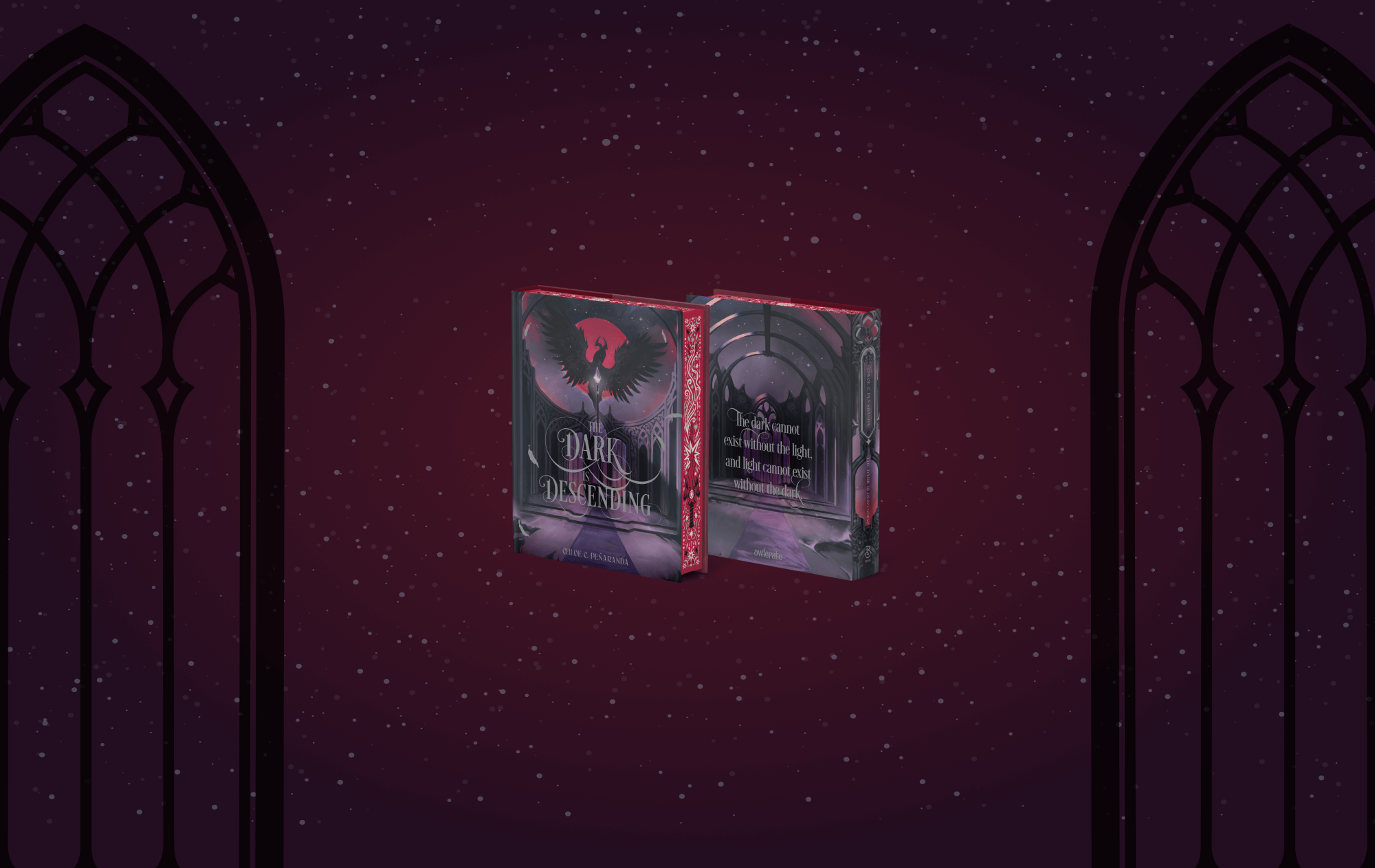 OwlCrate limited edition of The Dark is Descending. The front and back of the book is centered on a deep purple, starry background with gothic arches on either side.