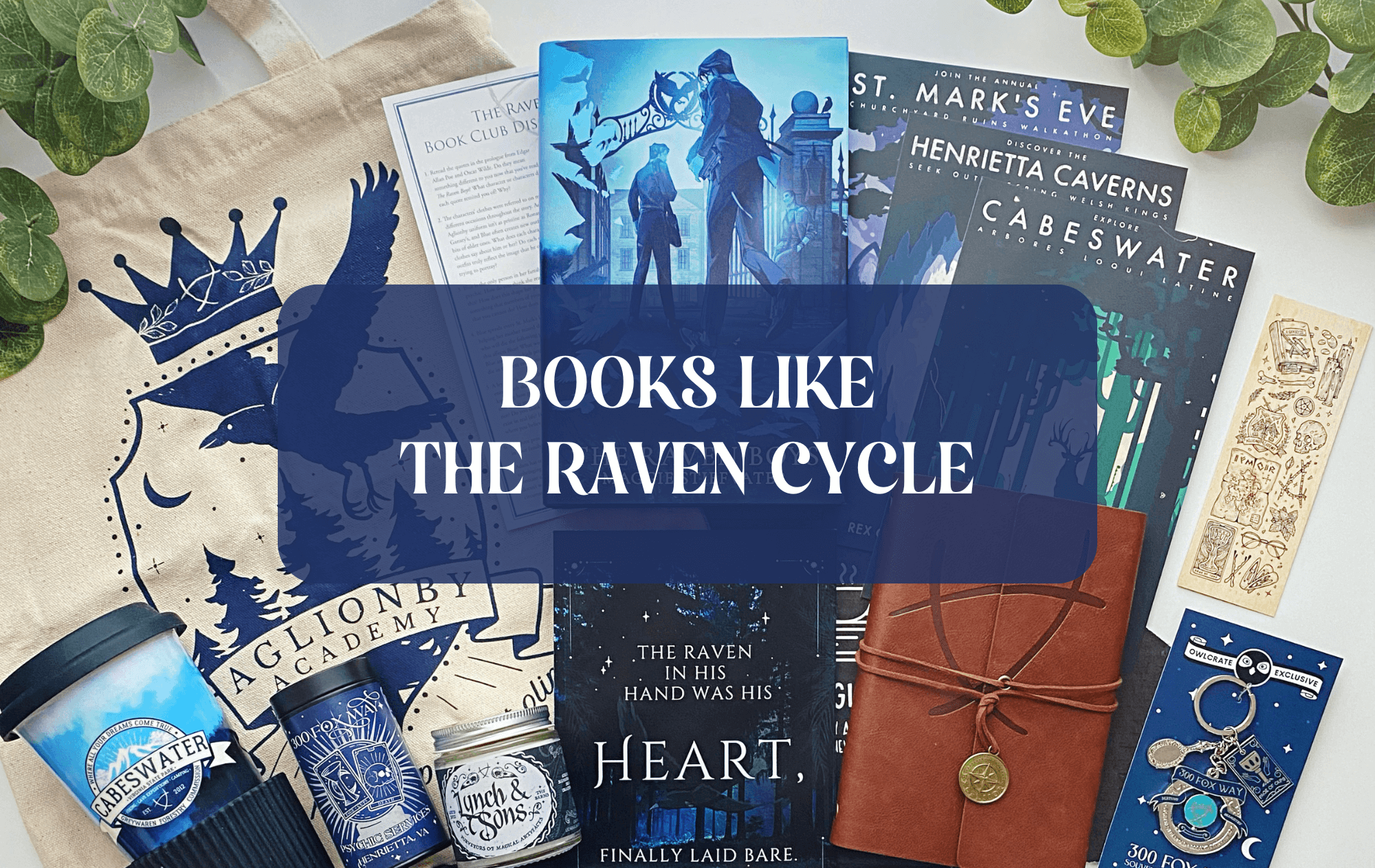 Graphic with The Raven Cycle Photo