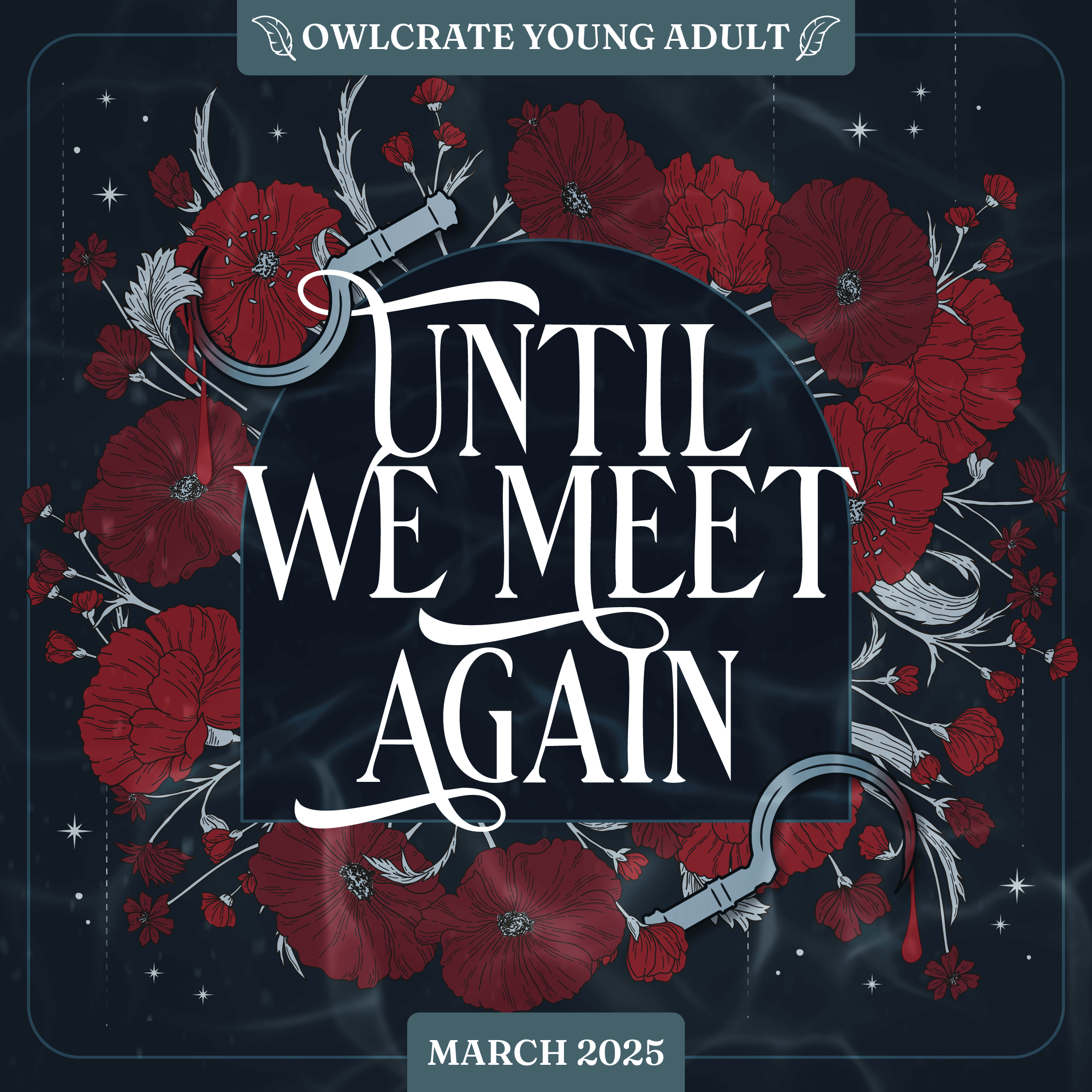 UNTIL WE MEET AGAIN OwlCrate YA theme