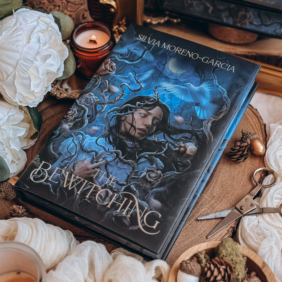 The Bewitching (Exclusive OwlCrate Edition)