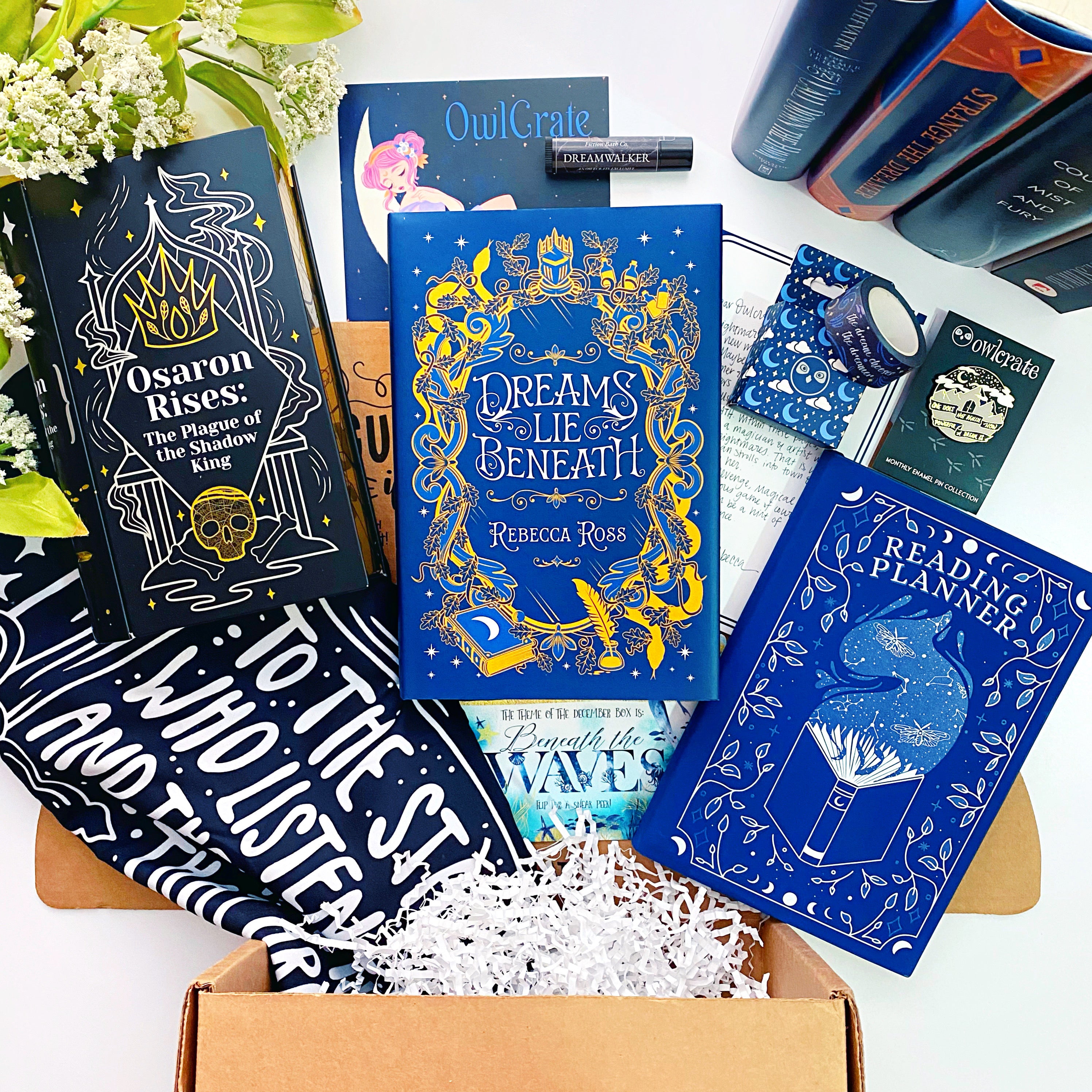 OwlCrate 'DREAMING IN THE DARK' Box
