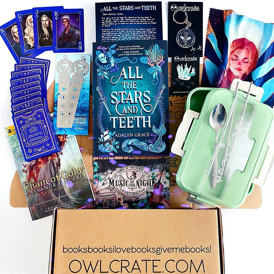 OwlCrate February 2020 'A POWER WITHIN' Box